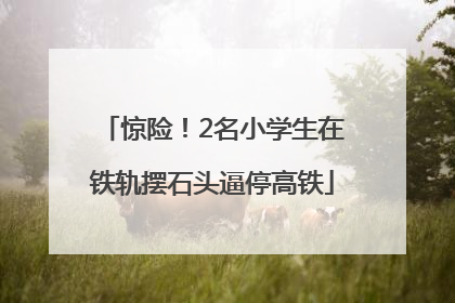 惊险！2名小学生在铁轨摆石头逼停高铁