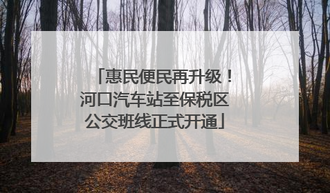 惠民便民再升级！河口汽车站至保税区公交班线正式开通