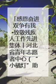 感恩奋进 双争有我•致敬残疾人工作先进集体丨河北省青年志愿者中心（“小橘灯”助残接力计划实施团队）：用温暖陪伴，守护特殊孩子成长