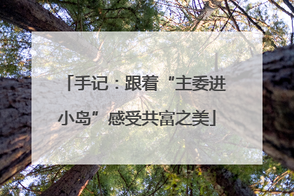 手记：跟着“主委进小岛”感受共富之美