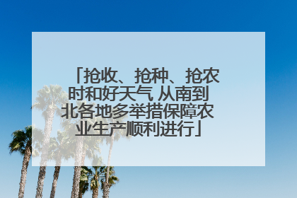 抢收、抢种、抢农时和好天气 从南到北各地多举措保障农业生产顺利进行