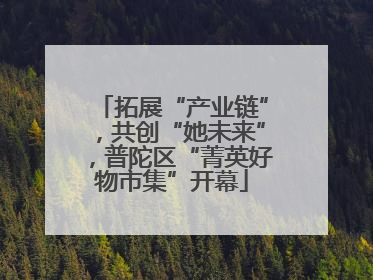 拓展“产业链”，共创“她未来”，普陀区“菁英好物市集”开幕