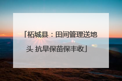 柘城县：田间管理送地头 抗旱保苗保丰收