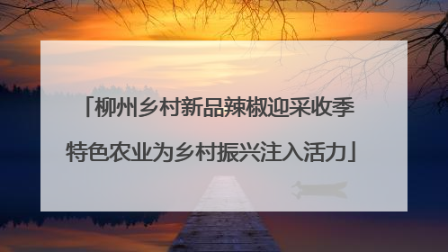 柳州乡村新品辣椒迎采收季 特色农业为乡村振兴注入活力