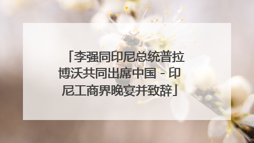 李强同印尼总统普拉博沃共同出席中国－印尼工商界晚宴并致辞