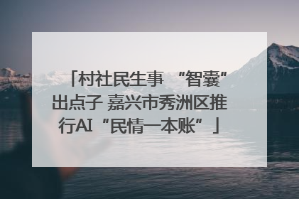 村社民生事 “智囊”出点子 嘉兴市秀洲区推行AI“民情一本账”