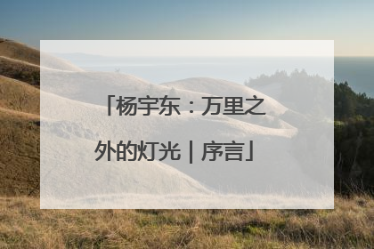 杨宇东：万里之外的灯光｜序言