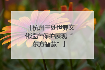 杭州三处世界文化遗产保护展现“东方智慧”