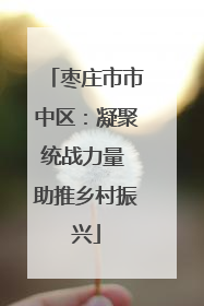 枣庄市市中区：凝聚统战力量 助推乡村振兴