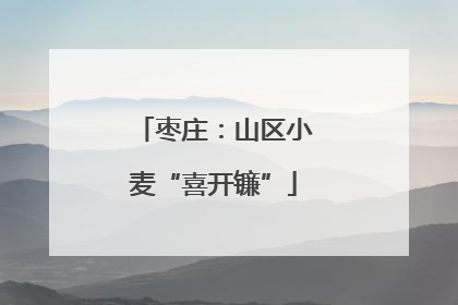 枣庄：山区小麦“喜开镰”