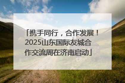 携手同行，合作发展！2025山东国际友城合作交流周在济南启动