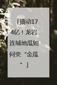 撬动174亿！龙岩连城地瓜如何变“金瓜”