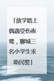 放学路上偶遇受伤夜鹭，聊城三名小学生求助民警