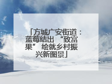方城广安街道：蓝莓结出 “致富果” 绘就乡村振兴新图景