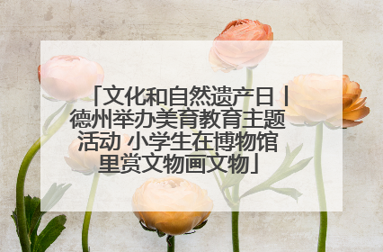 文化和自然遗产日丨德州举办美育教育主题活动 小学生在博物馆里赏文物画文物