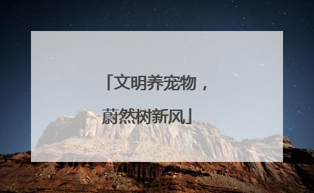 文明养宠物，蔚然树新风