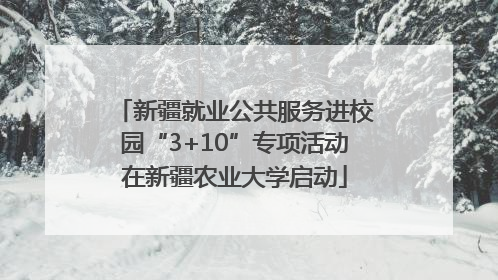 新疆就业公共服务进校园“3+10”专项活动在新疆农业大学启动