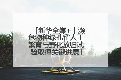 新华全媒+丨濒危物种绿孔雀人工繁育与野化放归试验取得关键进展