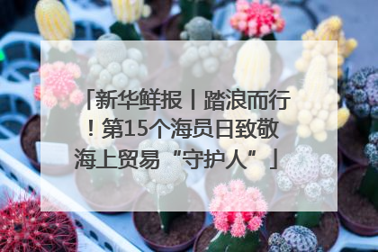 新华鲜报丨踏浪而行！第15个海员日致敬海上贸易“守护人”