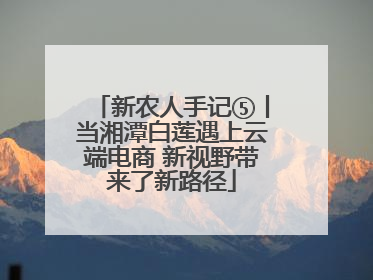 新农人手记⑤丨当湘潭白莲遇上云端电商 新视野带来了新路径