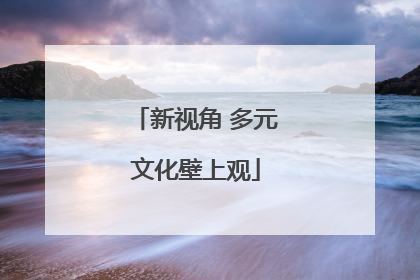 新视角 多元文化壁上观