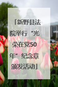 新野县法院举行“光荣在党50年”纪念章颁发活动