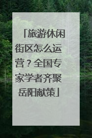 旅游休闲街区怎么运营？全国专家学者齐聚岳阳献策