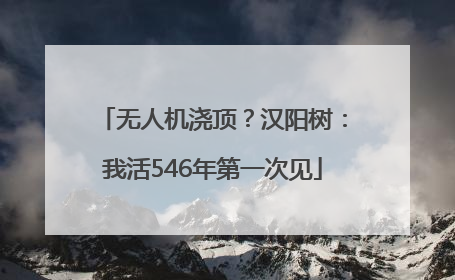 无人机浇顶？汉阳树：我活546年第一次见