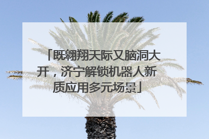 既翱翔天际又脑洞大开，济宁解锁机器人新质应用多元场景
