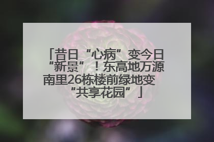 昔日“心病”变今日“新景”！东高地万源南里26栋楼前绿地变“共享花园”