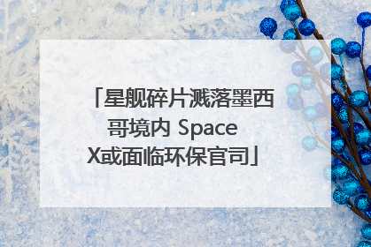 星舰碎片溅落墨西哥境内 SpaceX或面临环保官司