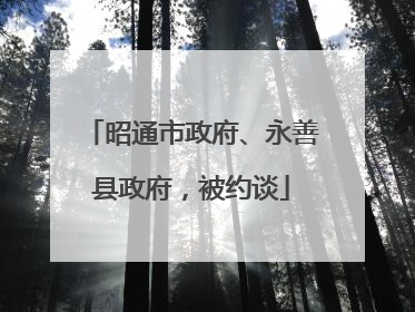 昭通市政府、永善县政府，被约谈