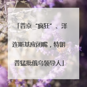 普京“疯狂”、泽连斯基应闭嘴，特朗普猛批俄乌领导人