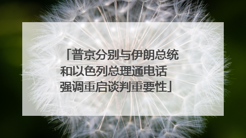 普京分别与伊朗总统和以色列总理通电话 强调重启谈判重要性