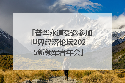 普华永道受邀参加世界经济论坛2025新领军者年会