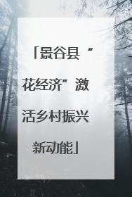 景谷县“花经济”激活乡村振兴新动能