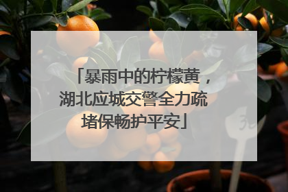 暴雨中的柠檬黄，湖北应城交警全力疏堵保畅护平安