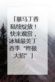 暴马丁香陆续绽放！快来观赏，冰城最美丁香季“终极大招”