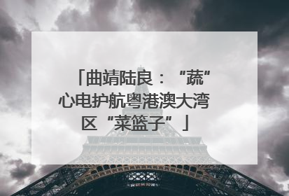 曲靖陆良：“蔬”心电护航粤港澳大湾区“菜篮子”