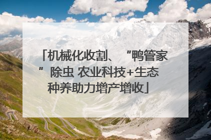 机械化收割、“鸭管家”除虫 农业科技+生态种养助力增产增收