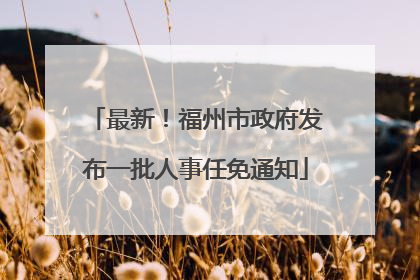 最新！福州市政府发布一批人事任免通知