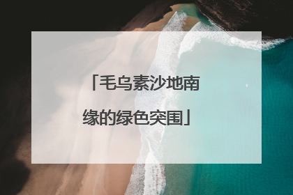 毛乌素沙地南缘的绿色突围