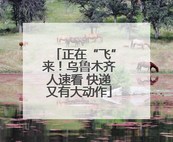 正在“飞”来！乌鲁木齐人速看 快递又有大动作