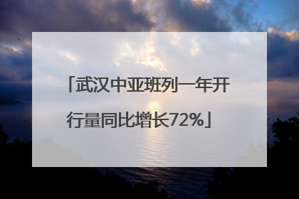 武汉中亚班列一年开行量同比增长72%