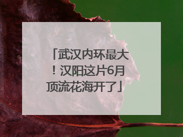 武汉内环最大！汉阳这片6月顶流花海开了