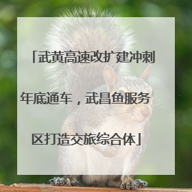武黄高速改扩建冲刺年底通车，武昌鱼服务区打造交旅综合体