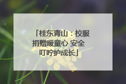 桂东青山：校服捐赠暖童心 安全叮咛护成长