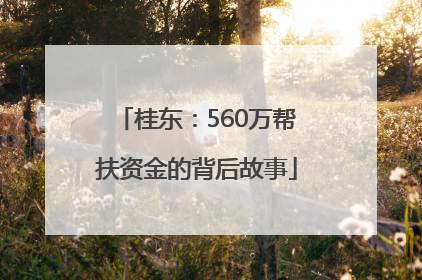 桂东：560万帮扶资金的背后故事