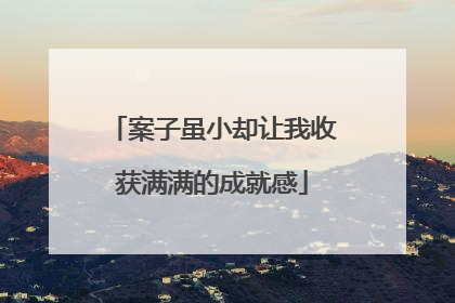 案子虽小却让我收获满满的成就感