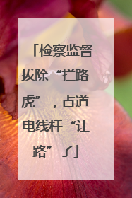 检察监督拔除“拦路虎”，占道电线杆“让路”了